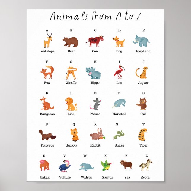 Affiche Animaux de A à Z Éducation scolaire Apprentissage (Devant)