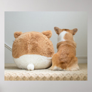 Affiche Animaux de bébés cutest Corgi & Plush Puppy