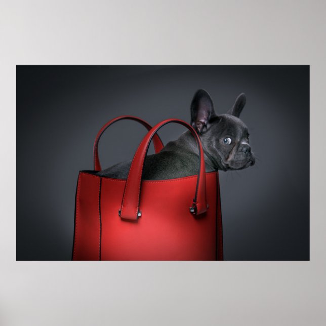 Affiche Animaux de bébés cutest | French Bulldog Red Hand  (Devant)