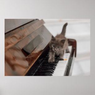Affiche Animaux de bébés cutest Kitten sur piano