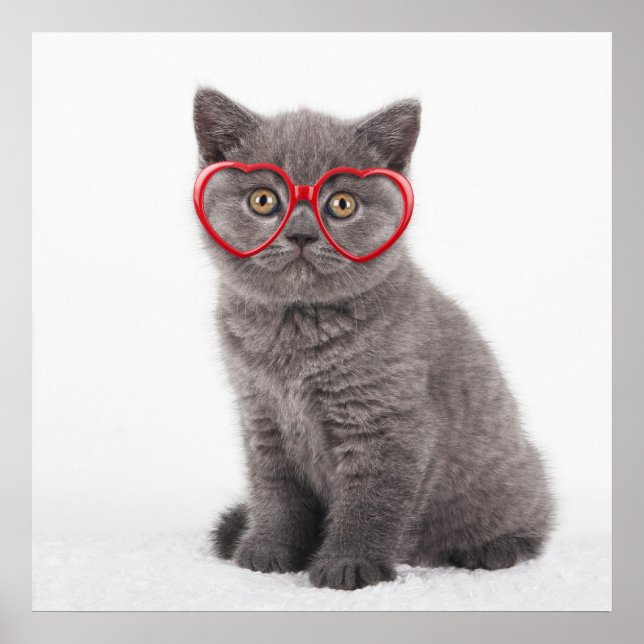 Affiche Animaux de bébés cutest | Lunettes cardiaques de c (Devant)
