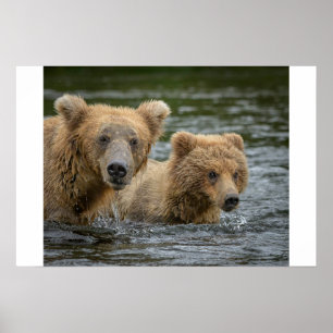 Affiche Animaux de bébés cutest Mama Bear & Her Cubs