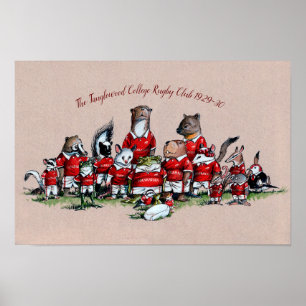 Affiche Animaux de Big Rock : Le Rugby du Tanglewood Colle
