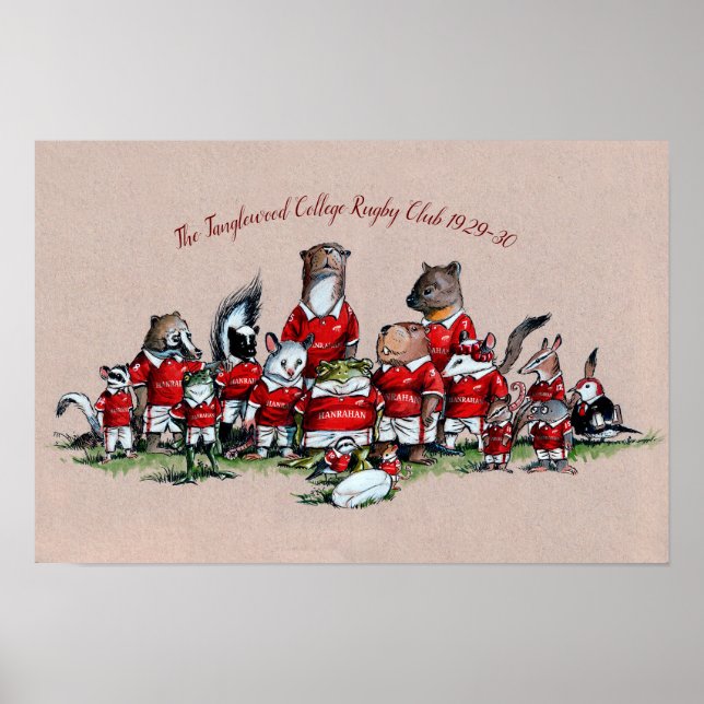 Affiche Animaux de Big Rock : Le Rugby du Tanglewood Colle (Devant)