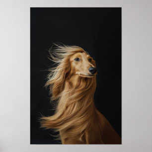 Affiche Animaux de compagnie Salon Boutique Afgan Hound Po