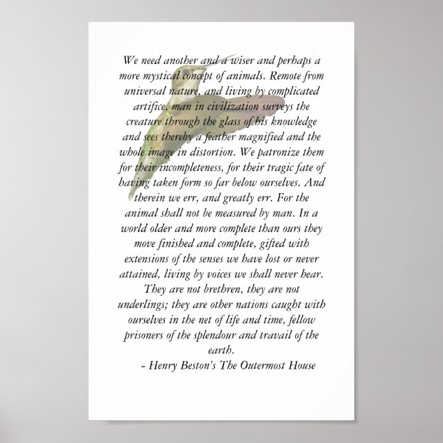 Affiche Animaux de la maison la plus éloignée (Devant)