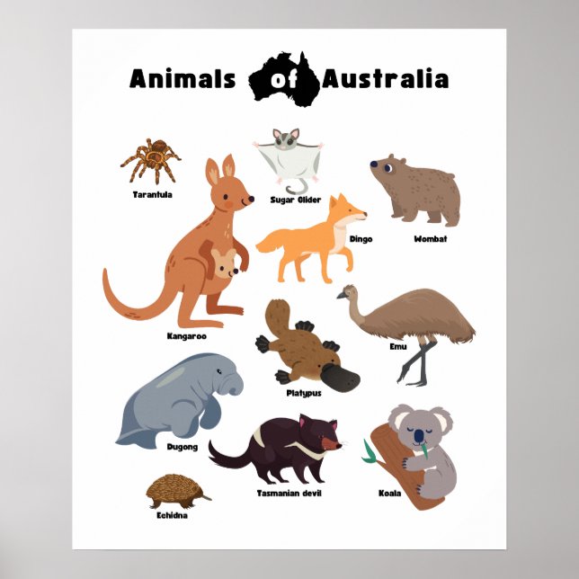 Affiche Animaux de l'Australie faune australienne (Devant)