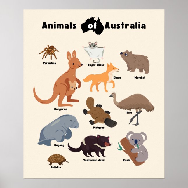 Affiche Animaux de l'Australie faune australienne (Devant)