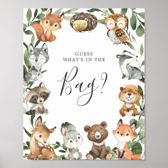 Affiche Animaux des bois Guess Baby Guess Qu'y a-t-il dans (Devant)