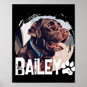 Affiche Animaux familiers Simple Moderne Cool Nge Nom Et P