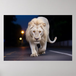 Affiche Animaux Lions Dans La Rue À L'Extérieur