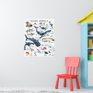 Affiche Animaux marins   Formation en classe