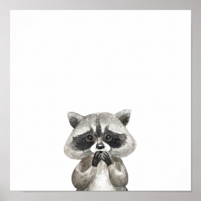 Affiche Animaux Mignon Raton Laveur Animaux Mignon (Devant)