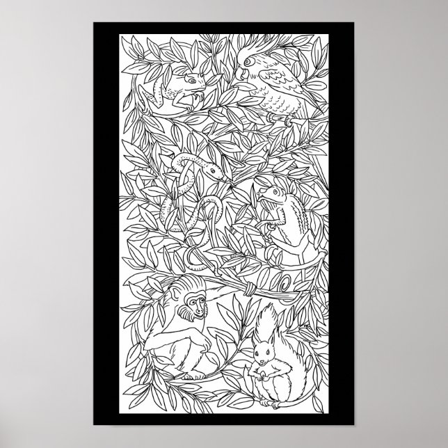 Affiche Animaux nature faune art dessin coloriage page (Devant)