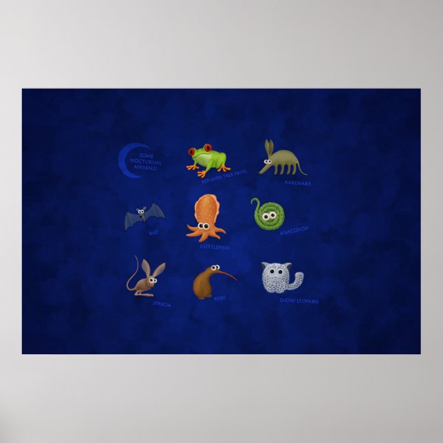 Affiche Animaux nocturnes (Devant)