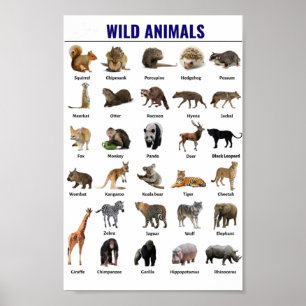 Affiche Animaux sauvages
