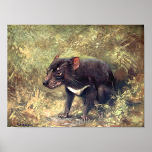 Affiche Animaux Sauvages Vintage, Diable de Tasmanie par C
