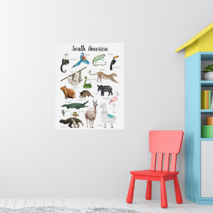 Affiche Animaux sud-américains   Classe d'éducation