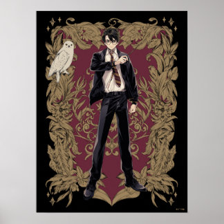 Affiche Anime HARRY POTTER™ Cadre Orné