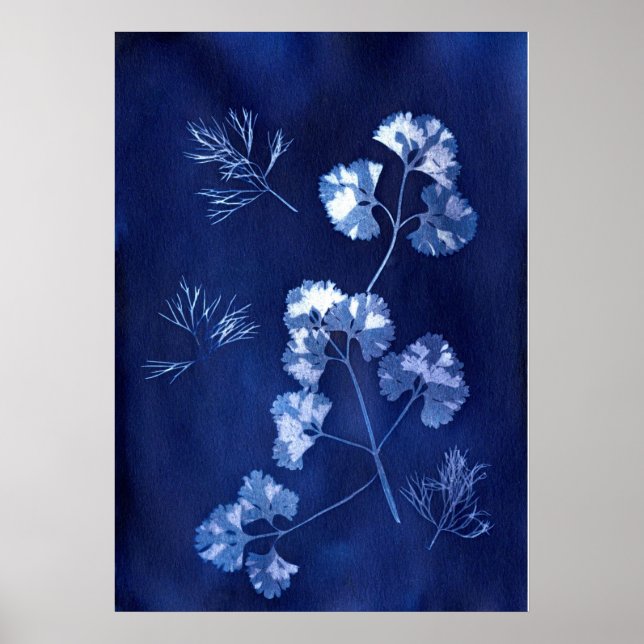 AFFICHE ANNA ATKINS (Devant)