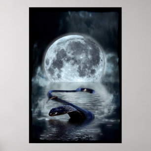 Affiche Année chinoise du serpent d'eau Serpent noir