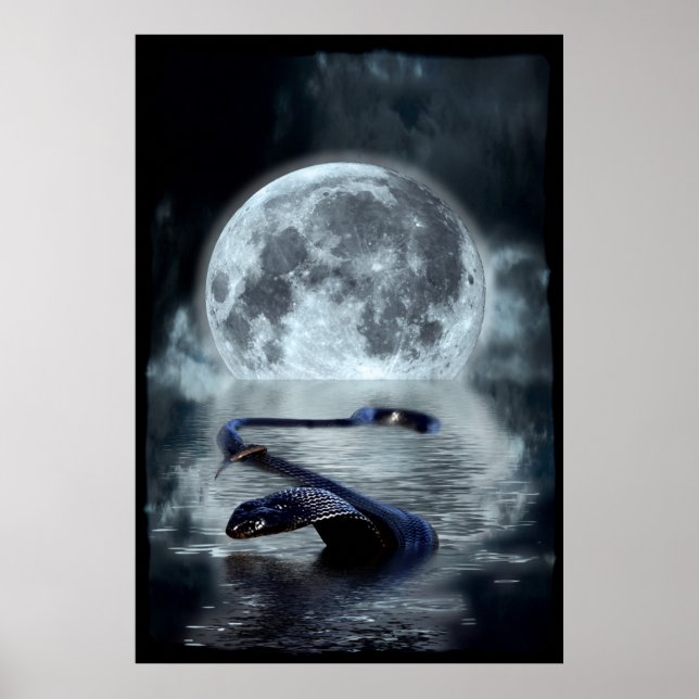 Affiche Année chinoise du serpent d'eau Serpent noir (Devant)