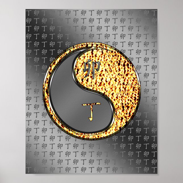 Affiche Année du lapin de feu (Devant)