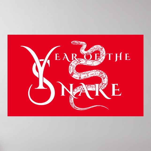 Affiche Année du serpent (Devant)