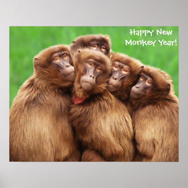 Affiche Année Du Singe Des Feux (Devant)