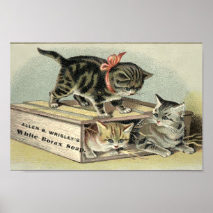 Affiche Annonce savonneuse de Kittens de l'époque victorie