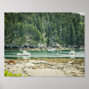 Affiche Anse dans la baie côtière du Maine 8x10