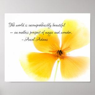 Affiche Ansel Adams quote in black text on an Orange Poppy