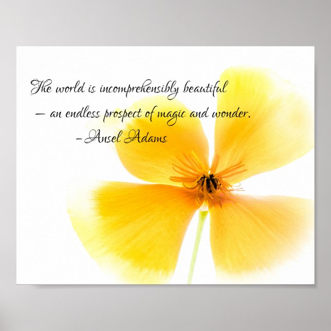 Affiche Ansel Adams quote in black text on an Orange Poppy (Devant)