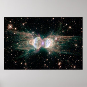 Affiche Ant Nebula 30x20 (27x18)