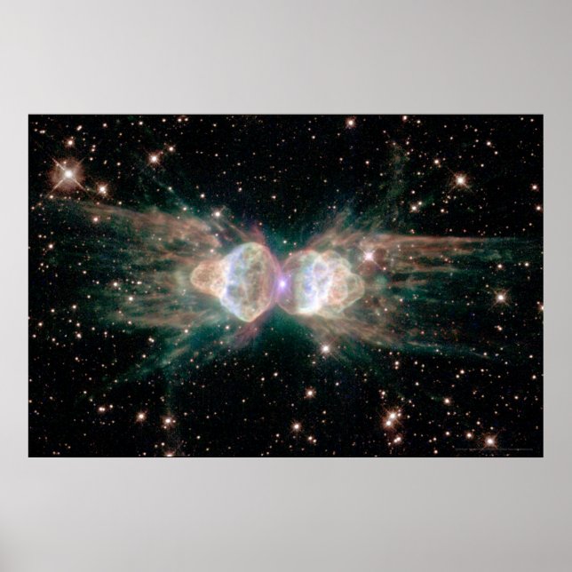 Affiche Ant Nebula 30x20 (27x18) (Devant)