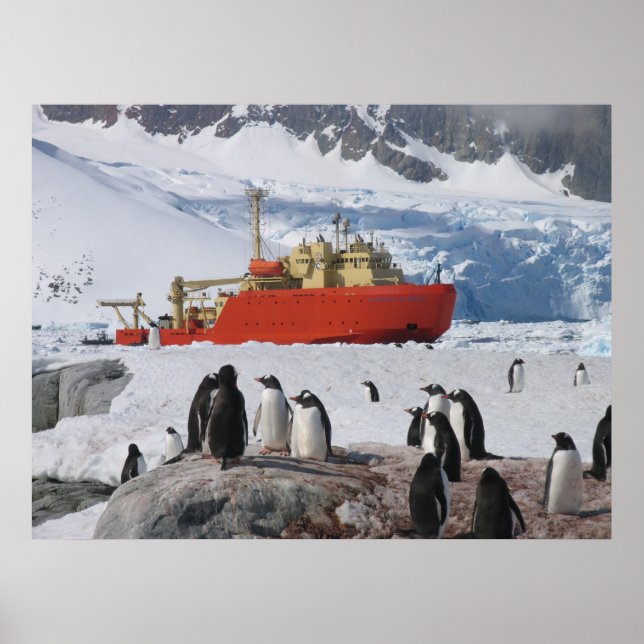 Affiche Antarctica (Devant)
