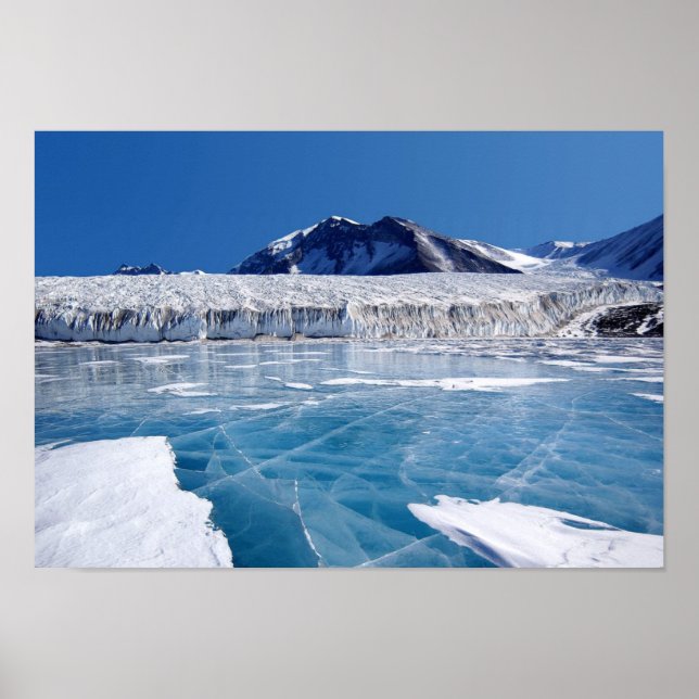 Affiche Antarctique (Devant)