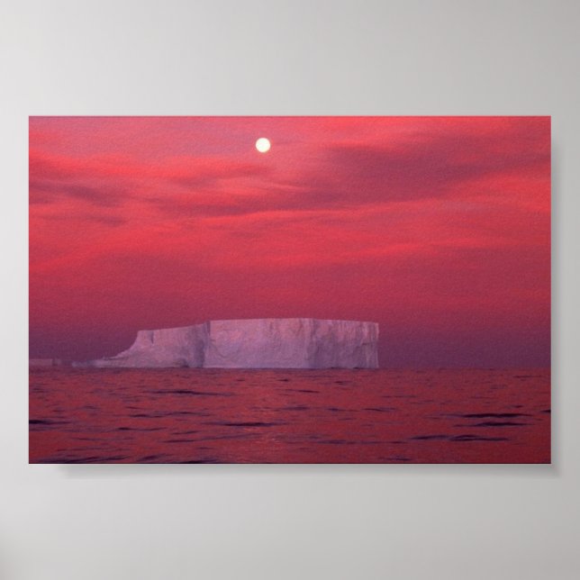 Affiche Antarctique (Devant)