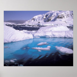 Affiche Antarctique. Expédition à travers les paysages de 