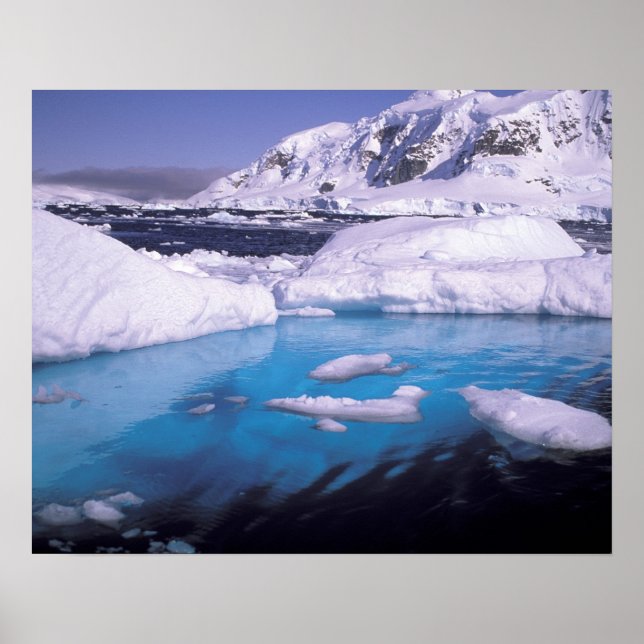 Affiche Antarctique. Expédition à travers les paysages de  (Devant)