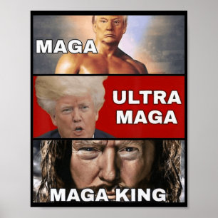 Affiche Anti Joe Biden Ultra Maga Le Retour Du Grand