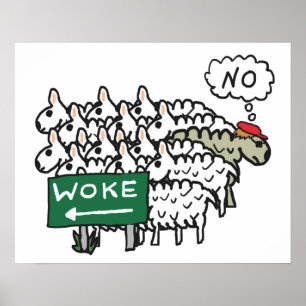 Affiche Anti-Woke