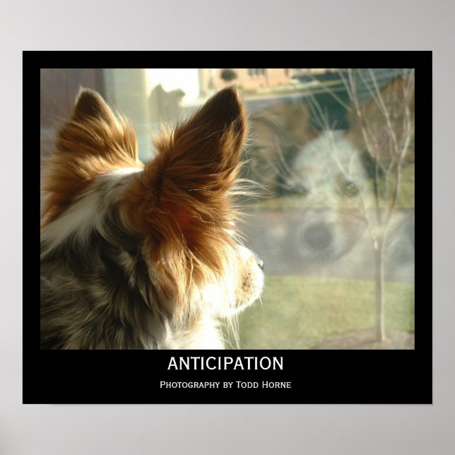 Affiche Anticipation (Devant)