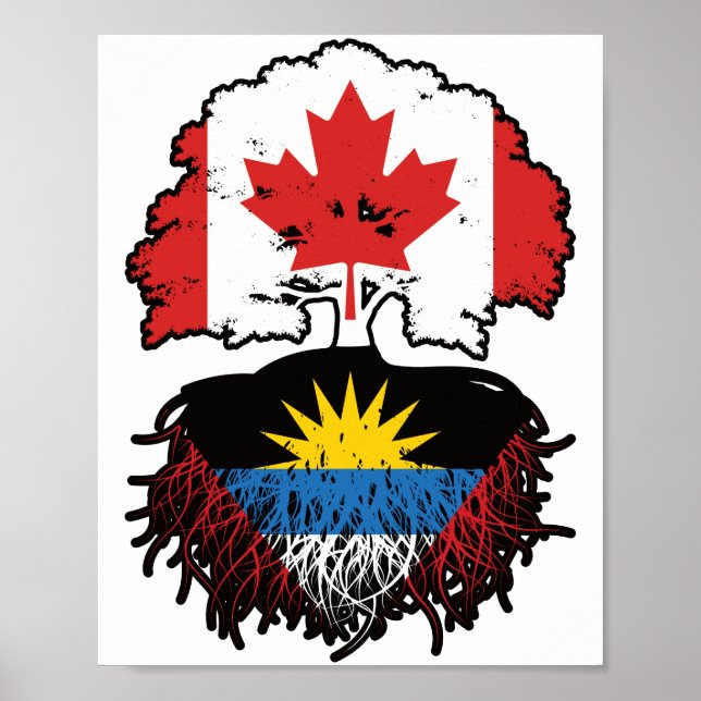 Affiche Antigua Antiguan Canadian Canada Arbre Roots Drape (Devant)
