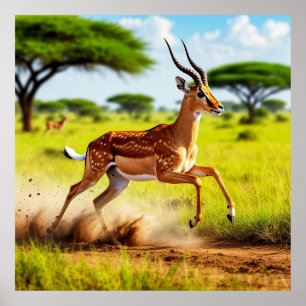 Affiche Antilope gracieuse bondissant dans une savane afri