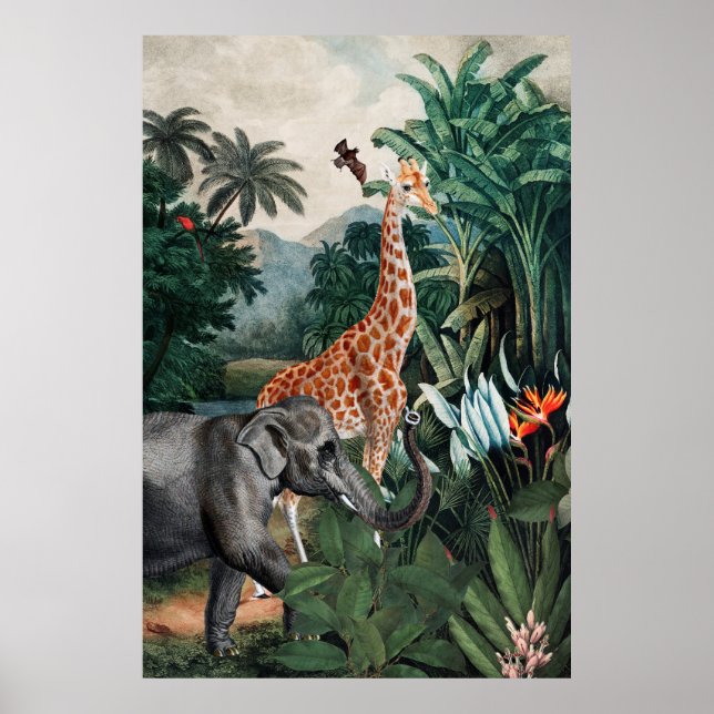 Affiche Antique Animaux Jungle Imprimer (Devant)