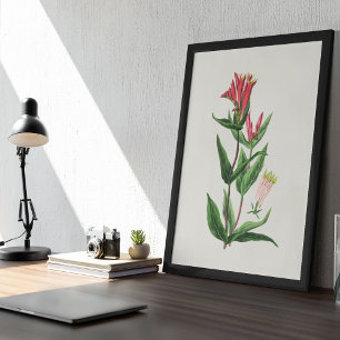 Affiche Antique Aquarelle Botanique Imprimer