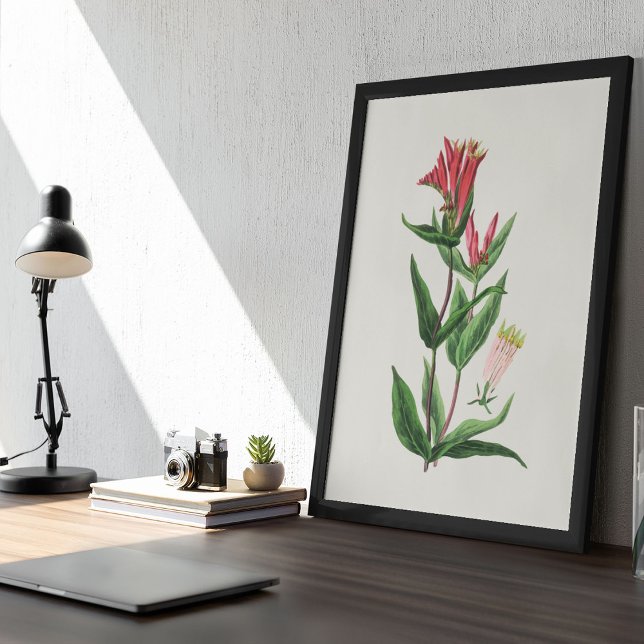 Affiche Antique Aquarelle Botanique Imprimer (Antique Watercolor Botanical Print)