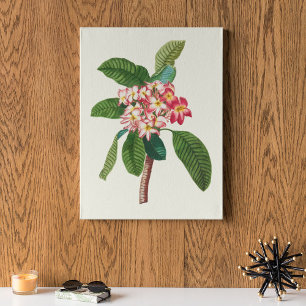 Affiche Antique Aquarelle Botanique Imprimer