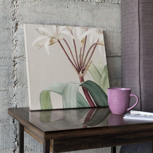 Affiche Antique Aquarelle Botanique Imprimer (Watercolor Antique Botanical Print Poster)